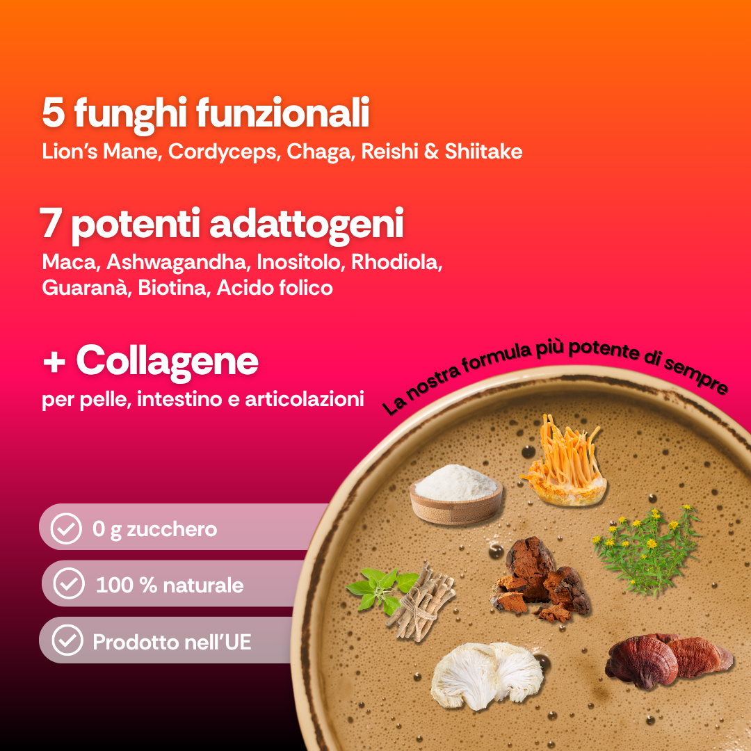 COFFEE 2.0 - Starter Pack