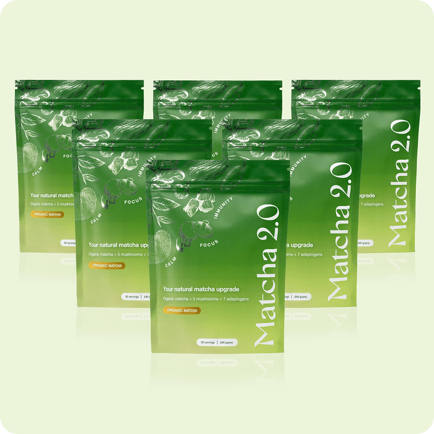 6x Matcha 2.0